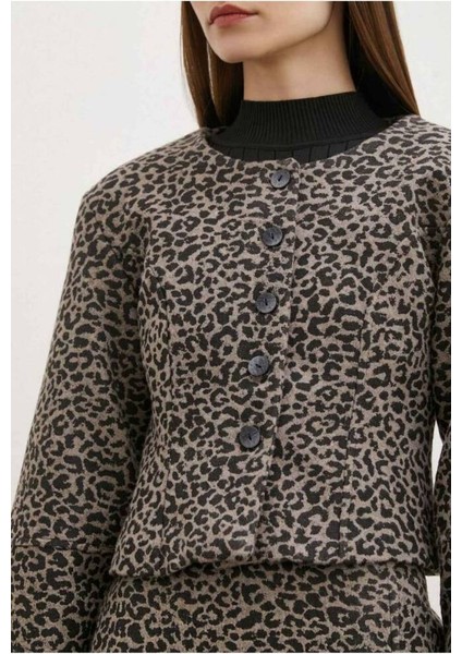 Düğme Kapamalı Crop Ceket Mını Etek Shany Zara Model Leopar Desen Takımı fiyatları