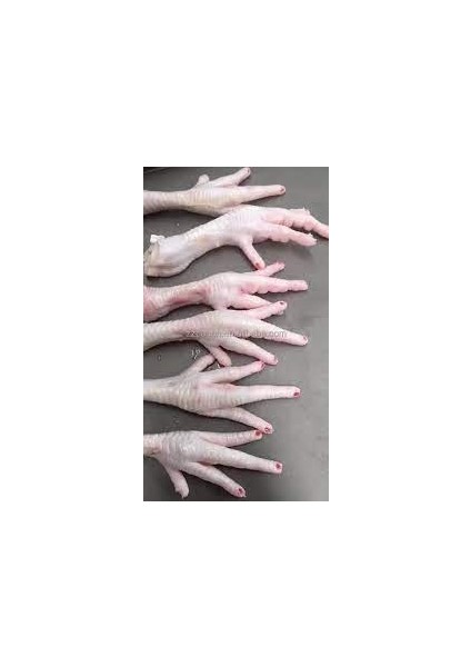 Jumbo Tavuk Ayağı (Chicken Feet) ตีนไก่ กรงเล็บไก่ fiyatları