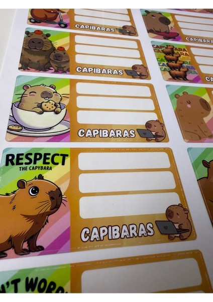Capybara Defter Etiketi 20’li Set – Renkli ve Sevimli Okul Etiketleri (8x4 Cm, 2 Sayfa) fiyatları