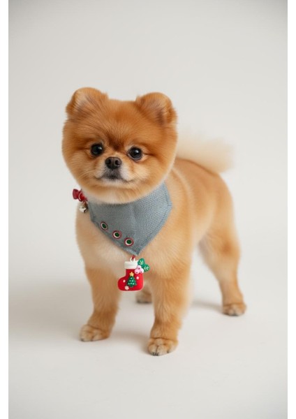 Christmas Dog Bandana | Küçük Irk Köpek Fuları | Yılbaşı Temalı Çorap Aksesuar Detaylı Bandana | Max 6 kg modelleri
