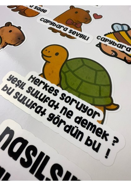 Capybara (Kapibara) Sticker Koleksiyonu Eğlenceli ve Dayanıklı 20 Ad Etiket, Defter, Laptop, Telefon fiyatları