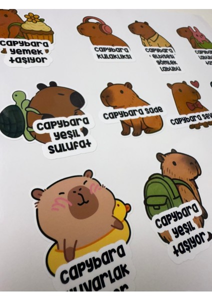 Capybara (Kapibara) Sticker Koleksiyonu Eğlenceli ve Dayanıklı 20 Ad Etiket, Defter, Laptop, Telefon modelleri