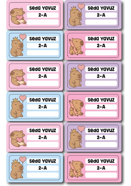 Capybara Okul Sticker Seti – Ders Programı, Defter, Kalem ve Malzeme Etiketleri (81 Parça) indirimleri