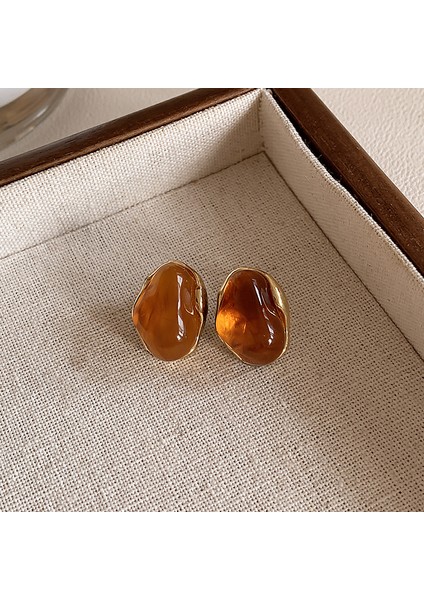 Fransız Hafif Lüks Vintage Merad Kehri Köri Küpeler Kadın Mizaç Tırnak Niş Hafif Lüks Tasarım Üst Düzey Aksesuar Duygusu (Yurt Dışından)