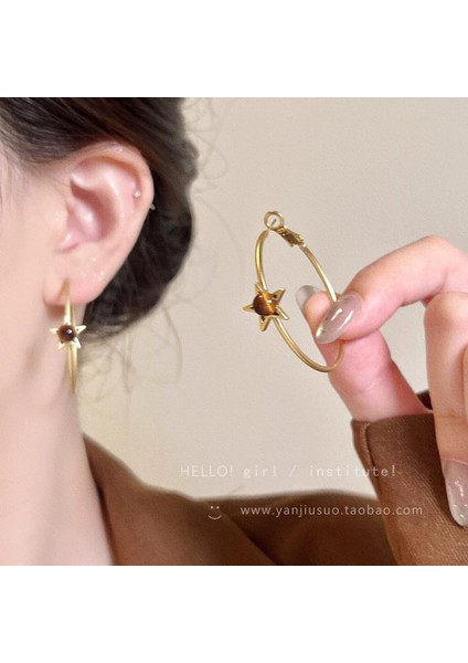 Avrupa ve Amerika Birleşik Devletleri Kişilik Büyük Daire Küpeler Kadın Kıdemli Küpe Duygusu Moda Mizaç Basit Küpeler Küpeler Kulak Aksesuarları (Yurt Dışından)