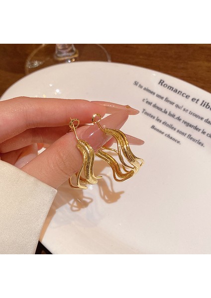 Avrupa ve Amerika Birleşik Devletleri Kişilik Büyük Daire Küpeler Kadın Kıdemli Küpe Duygusu Moda Mizaç Basit Küpeler Küpeler Kulak Aksesuarları (Yurt Dışından)