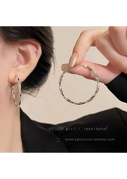 Avrupa ve Amerika Birleşik Devletleri Kişilik Büyük Daire Küpeler Kadın Kıdemli Küpe Duygusu Moda Mizaç Basit Küpeler Küpeler Kulak Aksesuarları (Yurt Dışından)