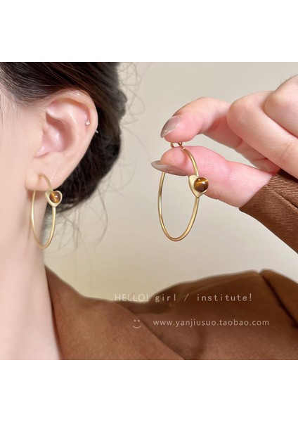 Avrupa ve Amerika Birleşik Devletleri Kişilik Büyük Daire Küpeler Kadın Kıdemli Küpe Duygusu Moda Mizaç Basit Küpeler Küpeler Kulak Aksesuarları (Yurt Dışından)