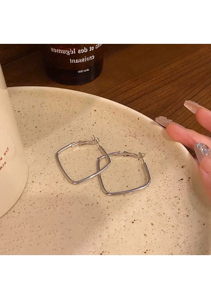 Avrupa ve Amerika Birleşik Devletleri Kişilik Büyük Daire Küpeler Kadın Kıdemli Küpe Duygusu Moda Mizaç Basit Küpeler Küpeler Kulak Aksesuarları (Yurt Dışından)