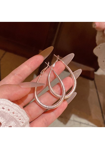 Avrupa ve Amerika Birleşik Devletleri Kişilik Büyük Daire Küpeler Kadın Kıdemli Küpe Duygusu Moda Mizaç Basit Küpeler Küpeler Kulak Aksesuarları (Yurt Dışından)