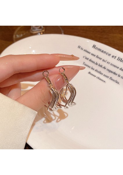 Avrupa ve Amerika Birleşik Devletleri Kişilik Büyük Daire Küpeler Kadın Kıdemli Küpe Duygusu Moda Mizaç Basit Küpeler Küpeler Kulak Aksesuarları (Yurt Dışından)