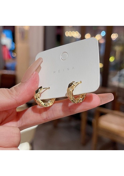 Avrupa ve Amerika Birleşik Devletleri Kişilik Büyük Daire Küpeler Kadın Kıdemli Küpe Duygusu Moda Mizaç Basit Küpeler Küpeler Kulak Aksesuarları (Yurt Dışından)