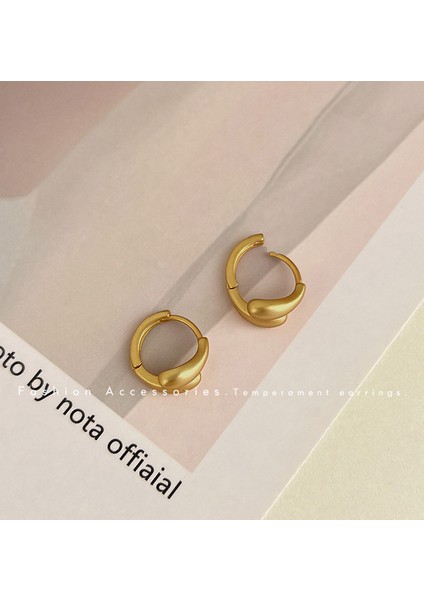 Avrupa ve Amerika Birleşik Devletleri Kişilik Büyük Daire Küpeler Kadın Kıdemli Küpe Duygusu Moda Mizaç Basit Küpeler Küpeler Kulak Aksesuarları (Yurt Dışından)