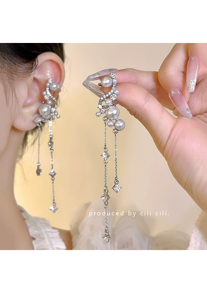 Kadınlar Için 925 Ayar Gümüş Püsküllü Çiçek Küpeler, Lüks Uzun Küpeler, Popüler Stil (Yurt Dışından)