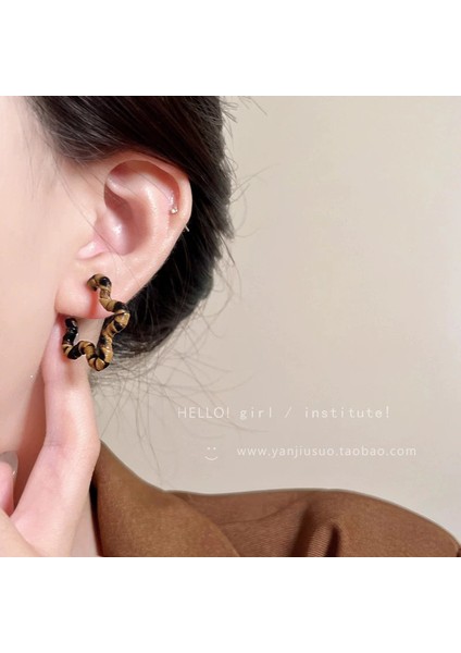 Kadınlar Için Yeni Metalik Cilalı Küpeler, Zarif ve Sofistike Halka Küpeler (Yurt Dışından)