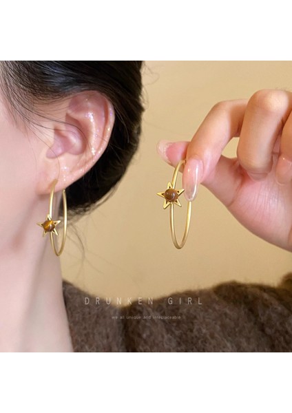 Kadınlar Için Yeni Sonbahar/kış Metalik Parlak Yuvarlak Küpeler, Zarif ve Sofistike, Kare ve Yuvarlak Yüzlere Yakışır, Retro Tarz. (Yurt Dışından)