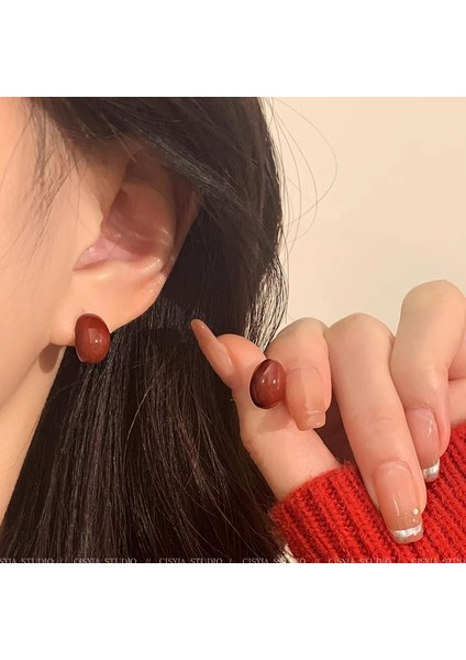 Kadınlar Için Yeni Metalik Cilalı Küpeler, Zarif ve Sofistike Halka Küpeler (Yurt Dışından)