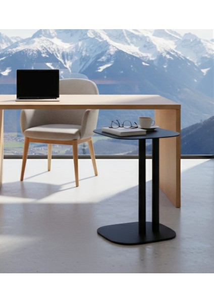 Pastel Minimalist Metal Yan Sehpa | Modern Dekoratif Salon & Ofis Dekorasyonu modelleri