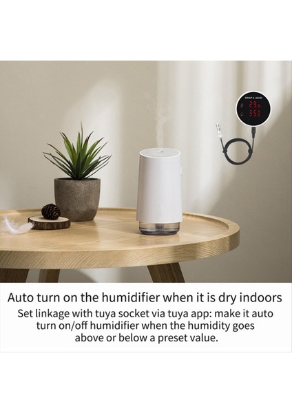 Tuka Zigbee Sıcaklığı ve Nem Sensör Alarmı Fide Fide Fermantasyonu Için LED Ekranlı Alarm Hayvan Yetiştirme Ingiltere Fiş (Yurt Dışından)