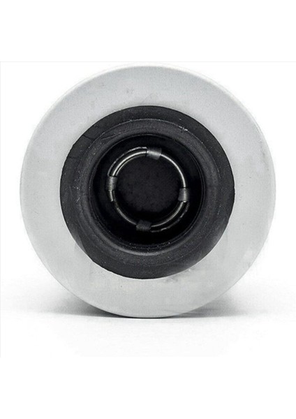 12 Pcs 420956124 2017 Skı-Doo Expedition Le Se Sport 600 900 1200 Için Petrol Filtresi (Yurt Dışından) fırsatları