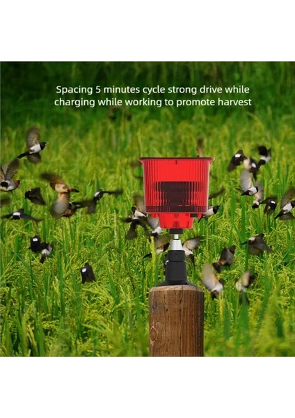 Güneş Enerjili Alarm Işığı Kuş Hayvanı Yenilenmiş Hareket Sensörü Dedektörü Siren Flaşı Ev Meyve Çiftliği (Yurt Dışından) fiyatları