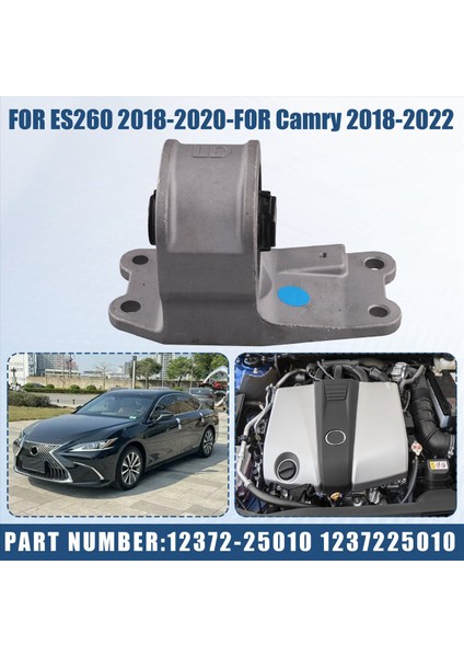 12372-25010 Toyota Camry Lexus ES260 2018-2022 1237225010 Için Otomatik Şanzıman Montaj Montajı (Yurt Dışından) indirimleri