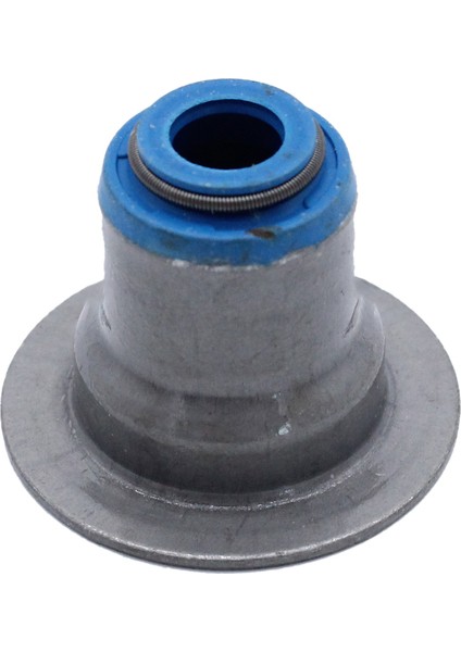 Valf Kök Mühürleri Seti Değiştirme 12482063 Gm Ls1 Ls2 Ls4 Ls6 Lq4 Lq9 Lm7 L59 Lr4 Lm4 (Yurt Dışından) fırsatları