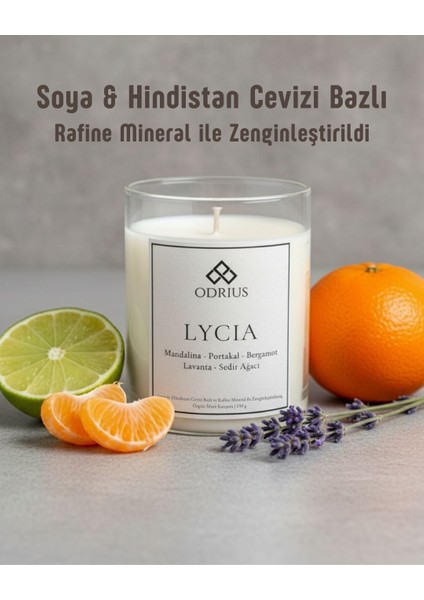 LYCIA Kokulu Mum – Turunçgil & Lavanta – Canlandırıcı Ferahlatıcı Koku – Uzun Süreli Mum – Soya & Hindistan Cevizi Bazlı ve Rafine Mineral ile Zenginleştirilmiş Özgün Mum Karışımı – 150 gram - ODRIUS