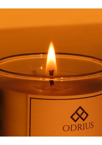 IONIA Kokulu Mum – Limon & Adaçayı – Ferahlatıcı Bitkisel Koku – El Yapımı Uzun Süreli Mum – Soya & Hindistan Cevizi Bazlı ve Rafine Mineral ile Zenginleştirilmiş Özgün Mum Karışımı – 150 gram modelleri