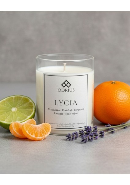Ferah Yazlık Kokulu Mum – Turunçgil, Lavanta, Limon, Adaçayı – 2’li Premium El Yapımı Mum – Soya & Hindistan Cevizi Bazlı ve Rafine Mineral ile Zenginleştirilmiş Özgün Mum Karışımı – (2x150g) - ODRIUS modelleri