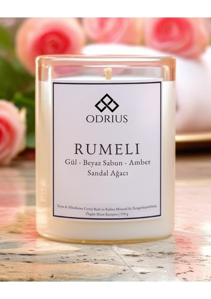 Zarif Mevsim Geçişi Kokulu Mum Seti – Gül, Sandal Ağacı, Çam, Sedir – 2’li Premium Mum – Soya & Hindistan Cevizi Bazlı ve Rafine Mineral ile Zenginleştirilmiş Özgün Mum Karışımı – (2x150g) - ODRIUS modelleri