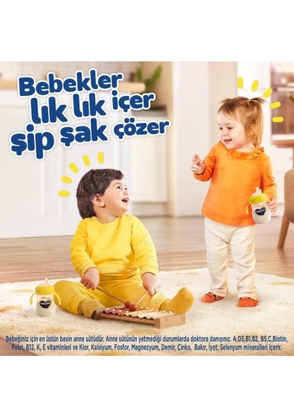 1200GR (800GR+400GR) No:4 Devam Sütü (1+ Yaş) Avantaj Pk (4 Lü Set) fırsatları