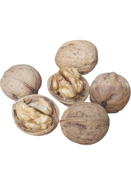 Kabuklu Ceviz Çorum Oğuzlar Dökme 1000 gr