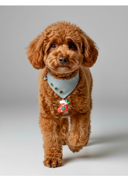 Christmas Dog Bandana | Küçük Irk Köpek Fuları | Yılbaşı Temalı Çorap Aksesuar Detaylı Bandana | Max 6 kg
