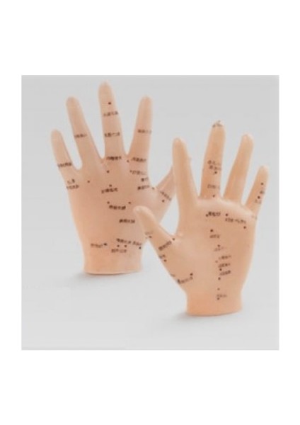 Enerji Akışı EL Maketi