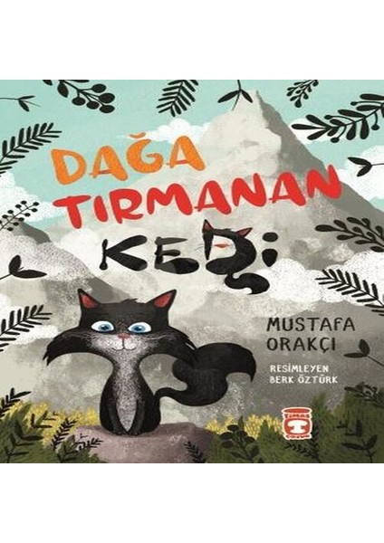Dağa Tırmanan Kedi