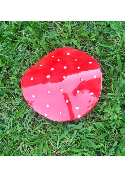 Bahçe Mantar Süsü Seramik Elyapımı modelleri