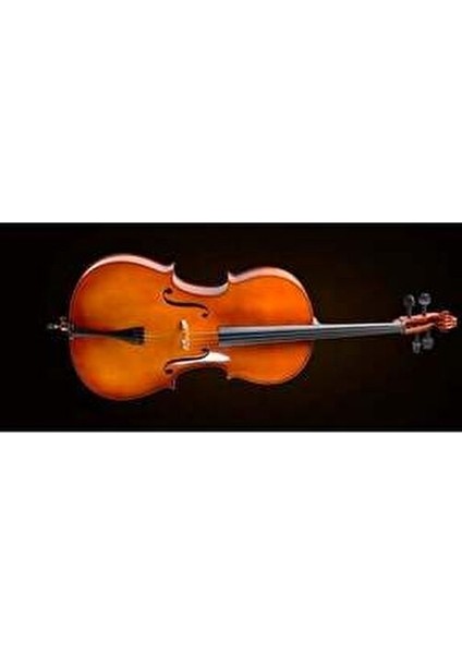 CE400F44 Yaylı Çalgı Zarif Tasarım ve Kaliteli Ses Üretimi ile Müzik Tutkunlarına Özel modelleri