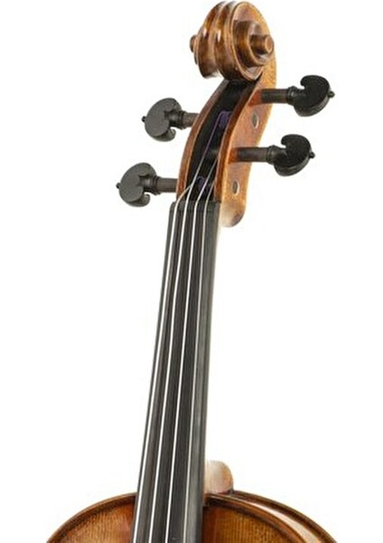 El Yapımı Keman Kelebek Kapaklı Abanoz Detaylarla Zenginleştirilmiş Ahşap Model