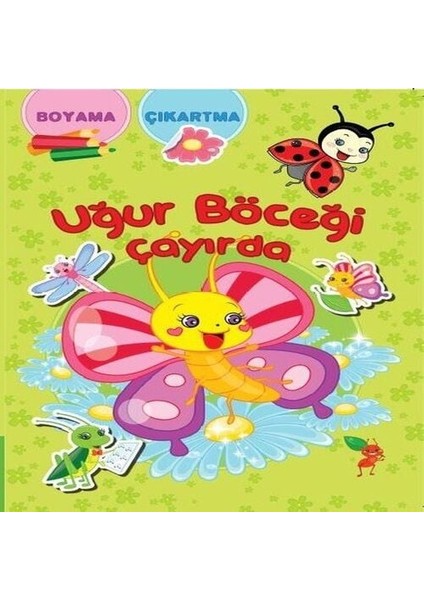 Uğur Böceği Çayırda