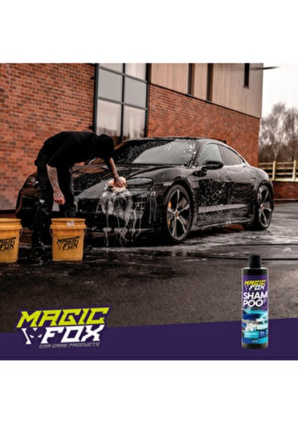 Jant Temizleyici ve pH Nötür Şampuan 400 ml Profesyonel Sonuçlar İçin Etkili Temizlik fiyatları