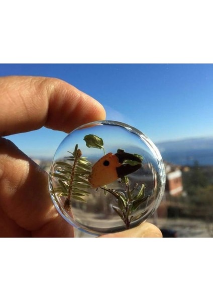 Epoksi Reçine Ultra Şeffaf Hobi Epoksi Seti ARC105 15 kg Set modelleri