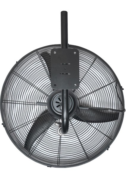 Ayas Pelikan 75 cm Salınımlı Duvar Tipi Vantilatör Siyah fırsatları