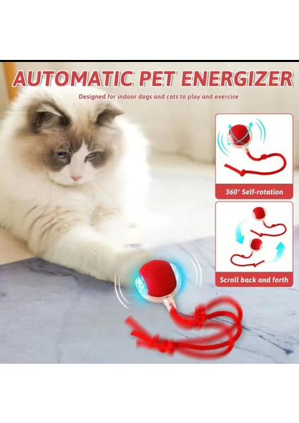 Kedi ve Köpek Ipli USB Şarzlı Hareketli Top