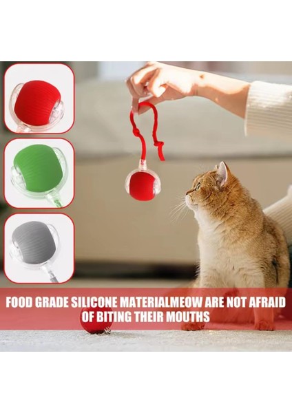 Kedi ve Köpek Ipli USB Şarzlı Hareketli Top fiyatları