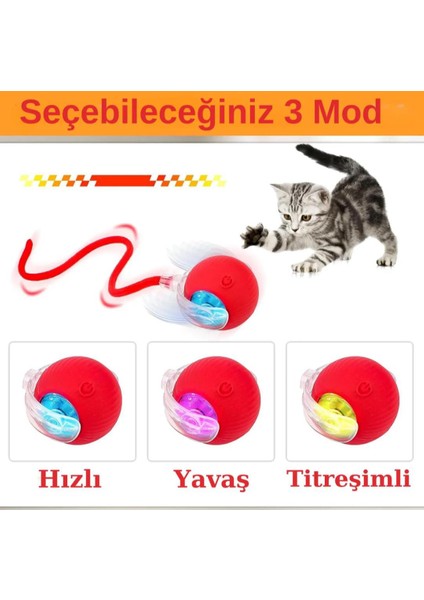 Kedi ve Köpek Ipli USB Şarzlı Hareketli Top modelleri