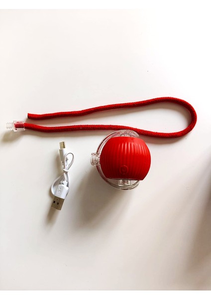 Kedi ve Köpek Ipli USB Şarzlı Hareketli Top fırsatları
