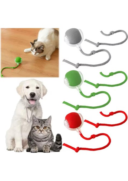 Kedi ve Köpek Ipli USB Şarzlı Hareketli Top