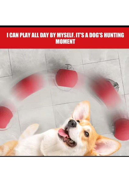 Kedi ve Köpek Ipli USB Şarzlı Hareketli Top