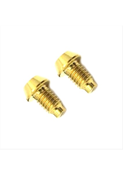 Magura Tc4 Hidrolik Disk Bisiklet Fren Vidası Için 2 Adet - Altın (Yurt Dışından)